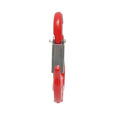 Carlig cu inel siguranta sarcina maxima 3.15T Breckner Germany - imagine 4