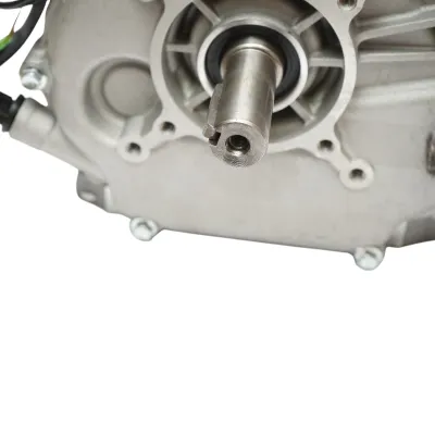 Motor pe benzina 9CP, 4 timpi cu protectie circuit, ax cu pana 25mm, pornire cheie/sfoara  Breckner Germany - imagine 7