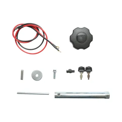 Motor pe benzina 9CP, 4 timpi cu protectie circuit, ax cu pana 25mm, pornire cheie/sfoara  Breckner Germany - imagine 8