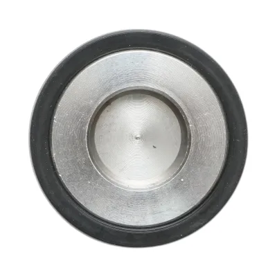 Supapa presiune pompa diafragmatica 25mm pentru erbicidator - imagine 7