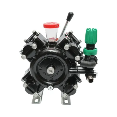 Pompa diafragmatica 7.5CP/5.5KW cu 4 membrane, debit 60L/min, presiune 30 bar, viteza 500-600 r/min - imagine 6