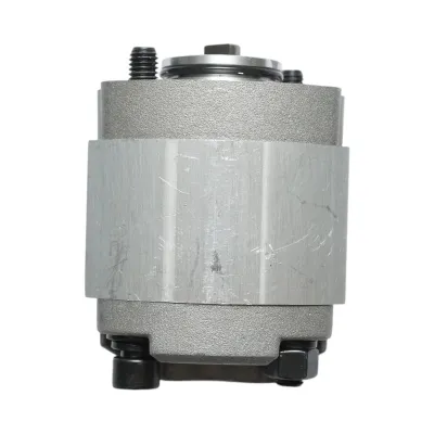 Pompa hidraulica interior kit basculare hidraulic triciclu electric 1T DISFE06 - imagine 6