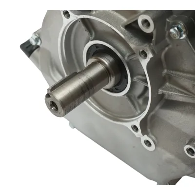 Motor pe benzina 18CP, 420cc, 4 timpi, ax cu pana 25mm, pornire sfoara Breckner Germany - imagine 6