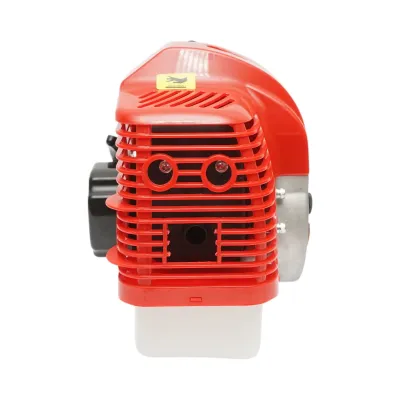 Motor barca pe benzina 2.5CP, 2T 52cc, portabil, turatie 7500rpm, cizma lunga reglabila THOR - imagine 13