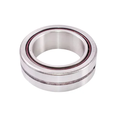 Rulment NA4909