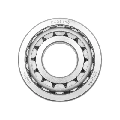 Rulment 30306