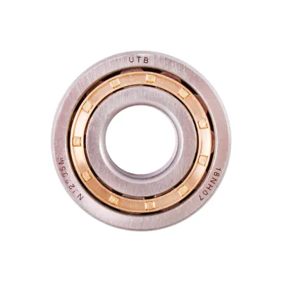 Rulment NJ2305M bronze - imagine 2