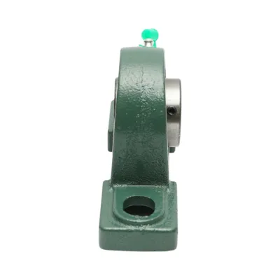 Rulment UCP206 30x165x121mm - imagine 6