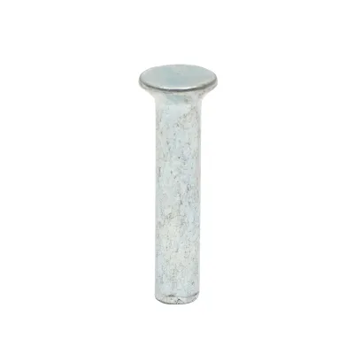 Nit otel solid 31x6, diametru cap 10mm