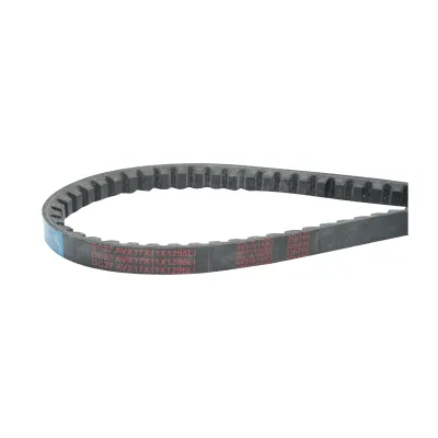 Curea transmisie pentru tocatoare BCR BX51 - imagine 3
