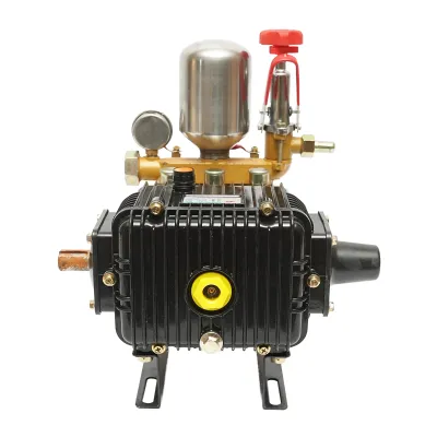 Pompa 1-3,5 Mpa, 2,2-3 kW, debit 35-46 L/min pentru atomizor 300L - imagine 4