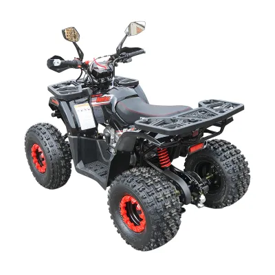 ATV 120cc, 7 CP, 4x2 cu pornire electrica HUNTER II	 - imagine 3