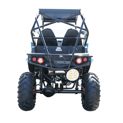 Buggy 4x2 UTV 400cc FX400-2 PREDATOR - imagine 4
