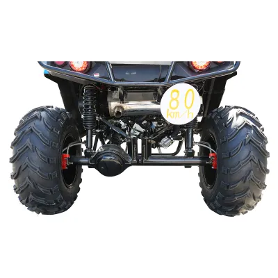 Buggy 4x2 UTV 400cc FX400-2 PREDATOR - imagine 12