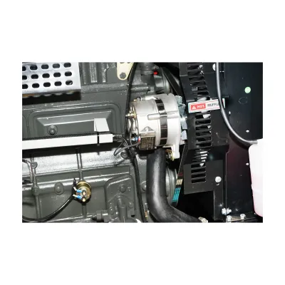 Generator electric trifazic 45KVA, 400V cu motor diesel Ricardo N4105DS-38/38KW - imagine 11