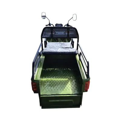 Triciclu electric Thor CITY ECO verde 650W 48V20Ah - imagine 4
