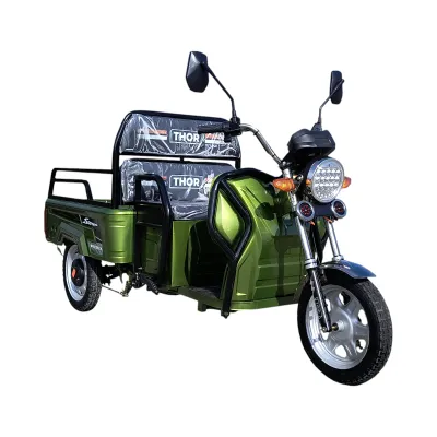 Triciclu electric Thor CITY ECO verde 650W 48V20Ah - imagine 5