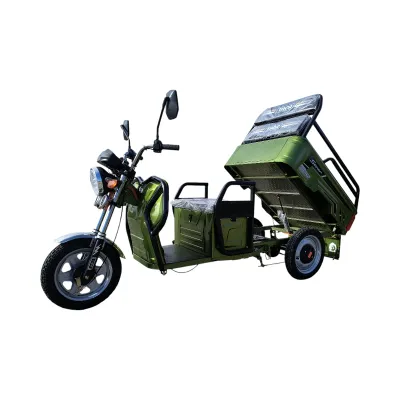 Triciclu electric Thor CITY ECO verde 650W 48V20Ah - imagine 2