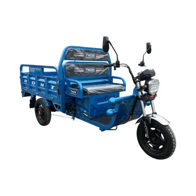 Triciclu electric Thor CITY ECO2 albastru 1000W 60V20Ah - imagine 3