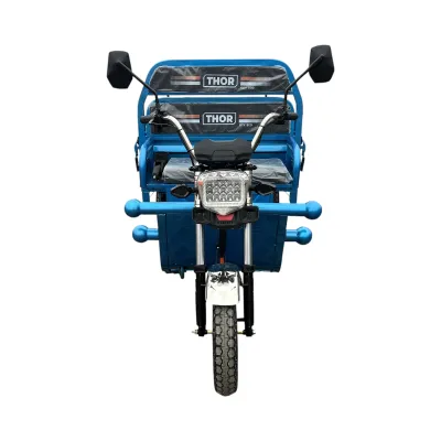 Triciclu electric Thor CITY ECO2 albastru 1000W 60V20Ah - imagine 2