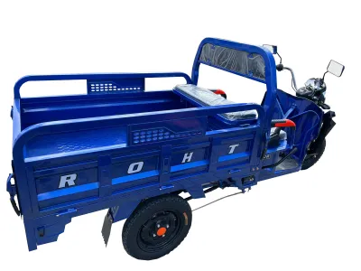 Triciclu electric THOR HOBBY 1000W 60V32Ah - imagine 8