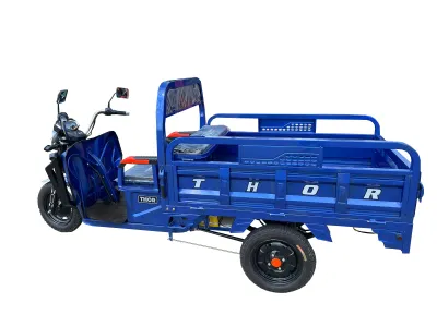 Triciclu electric THOR HOBBY 1000W 60V32Ah - imagine 4
