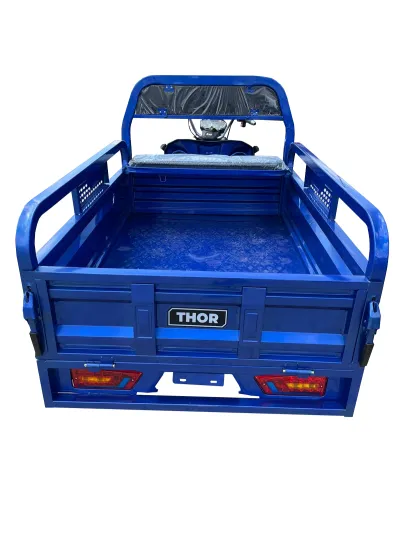 Triciclu electric THOR HOBBY 1000W 60V32Ah - imagine 9
