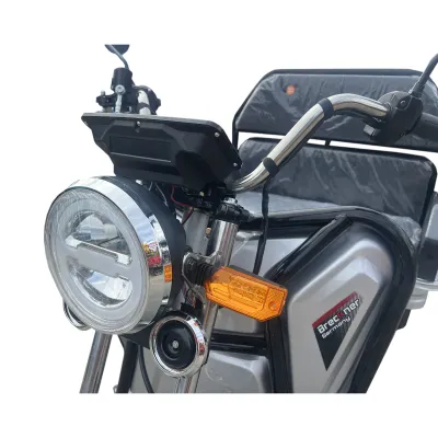 Triciclu electric BRECKNER GERMANY MODEL E ARGINTIU 1600W 60V 20AH - imagine 8