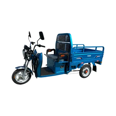 Triciclu electric THOR MINI2 ALBASTRU 500W 48V 32AH - imagine 2