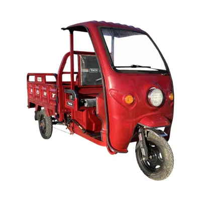 Triciclu electric THOR BUGGY 1000W 48V 32AH - imagine 6