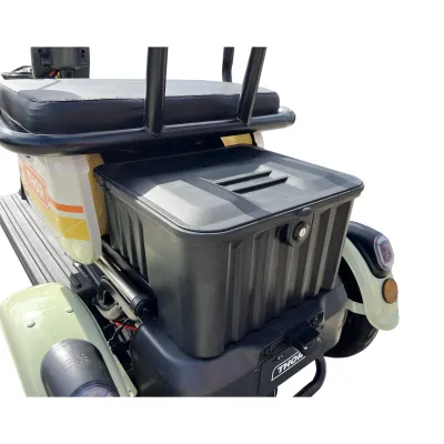 Triciclu electric THOR SXL PRO VERDE 1000W 60V 20AH - imagine 6