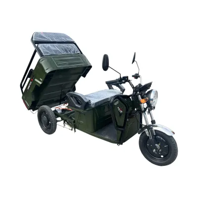 Triciclu electric BRECKNER GERMANY MODEL E VERDE 1600W 60V 20AH - imagine 5