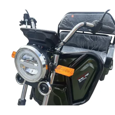 Triciclu electric BRECKNER GERMANY MODEL E VERDE 1600W 60V 20AH - imagine 8