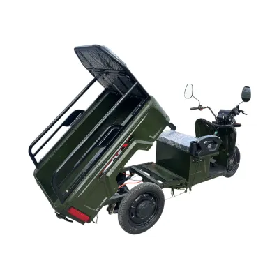 Triciclu electric BRECKNER GERMANY MODEL E VERDE 1600W 60V 20AH - imagine 4