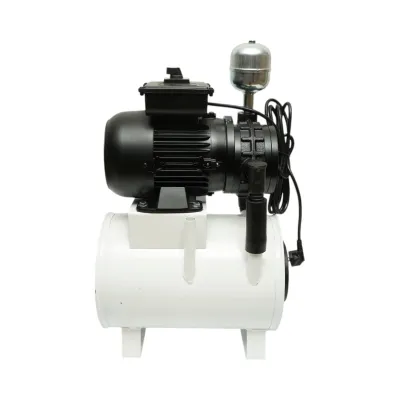 Pompa vacuum uscata cu motor 550W, 200 L/min, 1440rpm si rezervor pentru aparat de muls vaci Breckner Germany - imagine 4