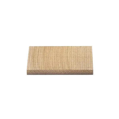 Palet fibra pentru pompa cu ulei 4,9x43x70mm aparat de muls Breckner Germany