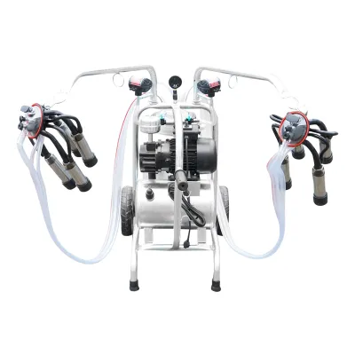 Aparat de muls vaci cu grup colector 160cc sasiu galvanizat bidon aluminiu 40L 2 posturi Breckner Germany - imagine 7