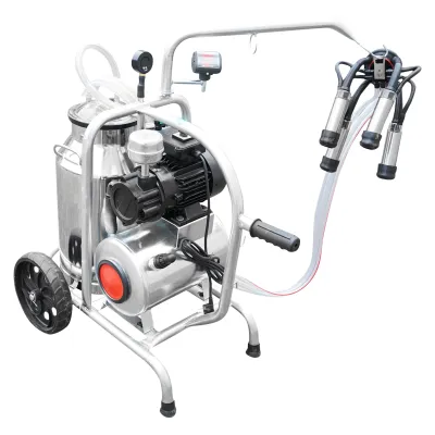 Aparat de muls vaci cu grup colector 160cc, sasiu galvanizat, bidon inox 30L, 1 post Breckner Germany - imagine 6