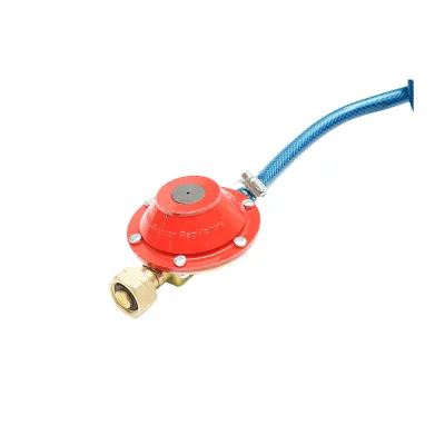 Tun electric pe baterie cu incarcator priza 220V, explozie pe gaz pentru speriat pasari Breckner Germany - imagine 7