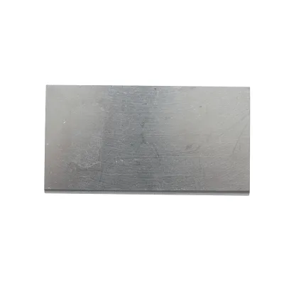 Palet grafit pentru pompa vacuum de muls vaci 80x43x4.90mm Breckner Germany - imagine 3