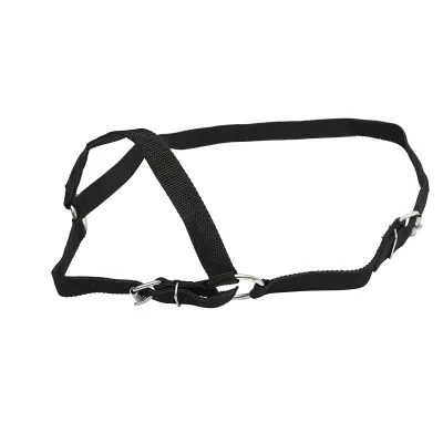 Capastru vaci nylon 25mm