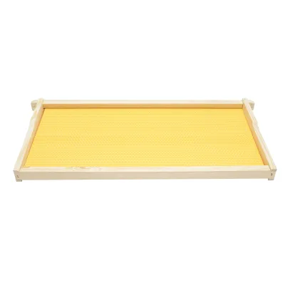 Rama stup din lemn cu fagure din plastic tip Dadant 483x230mm - imagine 2