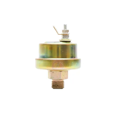 Sonda ulei mare bulb 5621