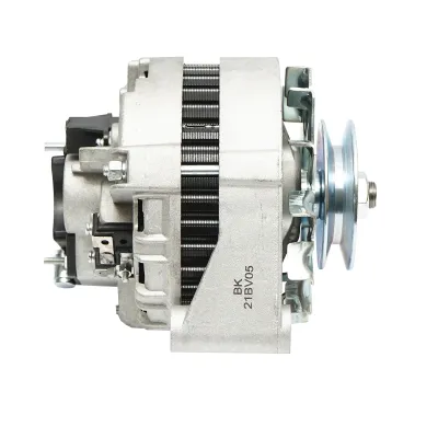 Alternator fara releu Raba 28V tip 01170 - imagine 3
