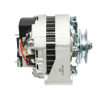 Alternator cu releu Raba 28V tip 01171 - imagine 3