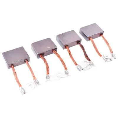 Perii electromotor RABA /set - imagine 3