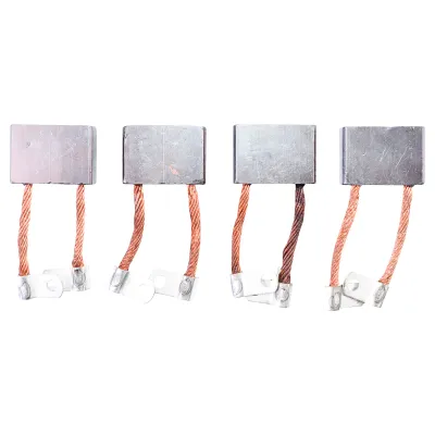 Perii electromotor RABA /set
