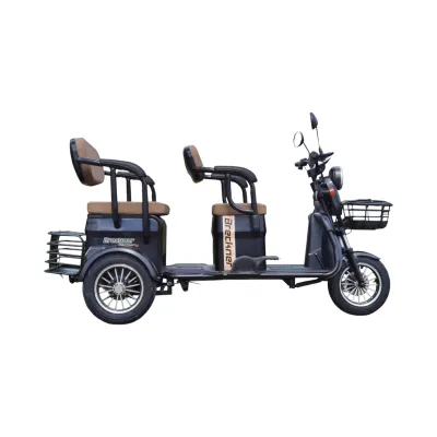 Triciclu electric BRECKNER TRAVEL negru 1000W 60V 20AH - imagine 8