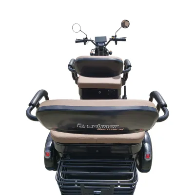 Triciclu electric BRECKNER TRAVEL negru 1000W 60V 20AH - imagine 3