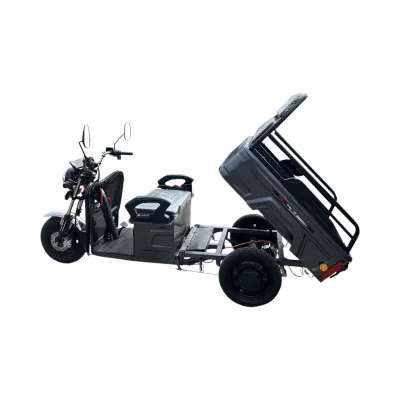 Triciclu electric BRECKNER GERMANY MODEL E GRI 1600W 60V 20AH - imagine 3